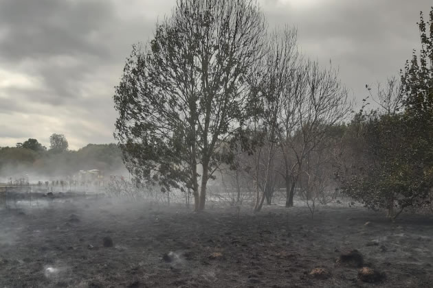 The aftermath of the fire in a Feltham park