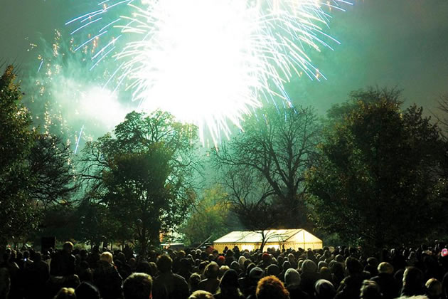 Ravenscourt Park fireworks before Covid-19 