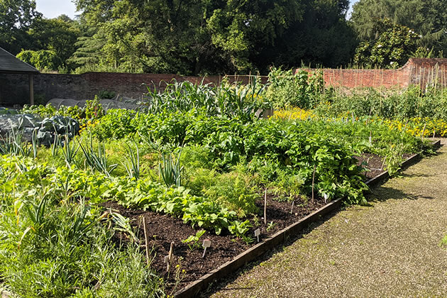 Community Orchard and Kitchen Garden