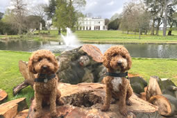 Alternative Funding Vision Proposed for Gunnersbury Park