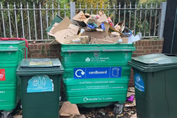 Hounslow Council Sets Out Plan for Next Four Years