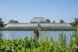 Kew Gardens Launches Appeal to Save Palm House