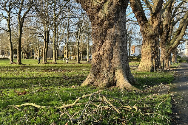 Friends of Wandsworth Park