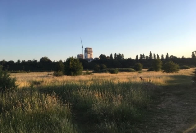 Wormwood Scrubs