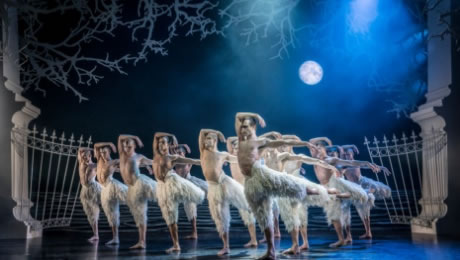 Swan Lake at New Wimbledon Theatre